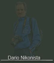 Dario