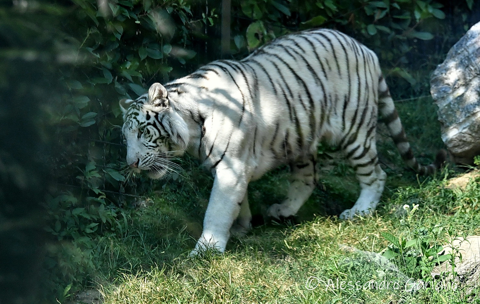 Foto 32 di 81