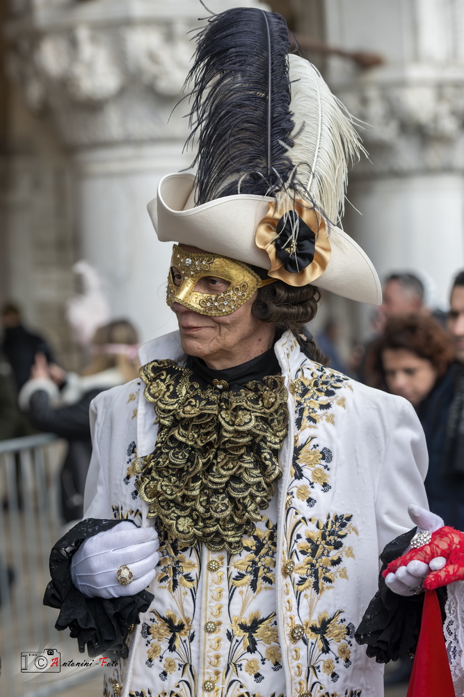 Foto 080 di 208