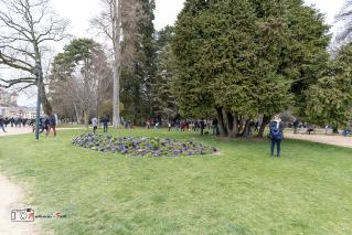 Foto 106 di 189