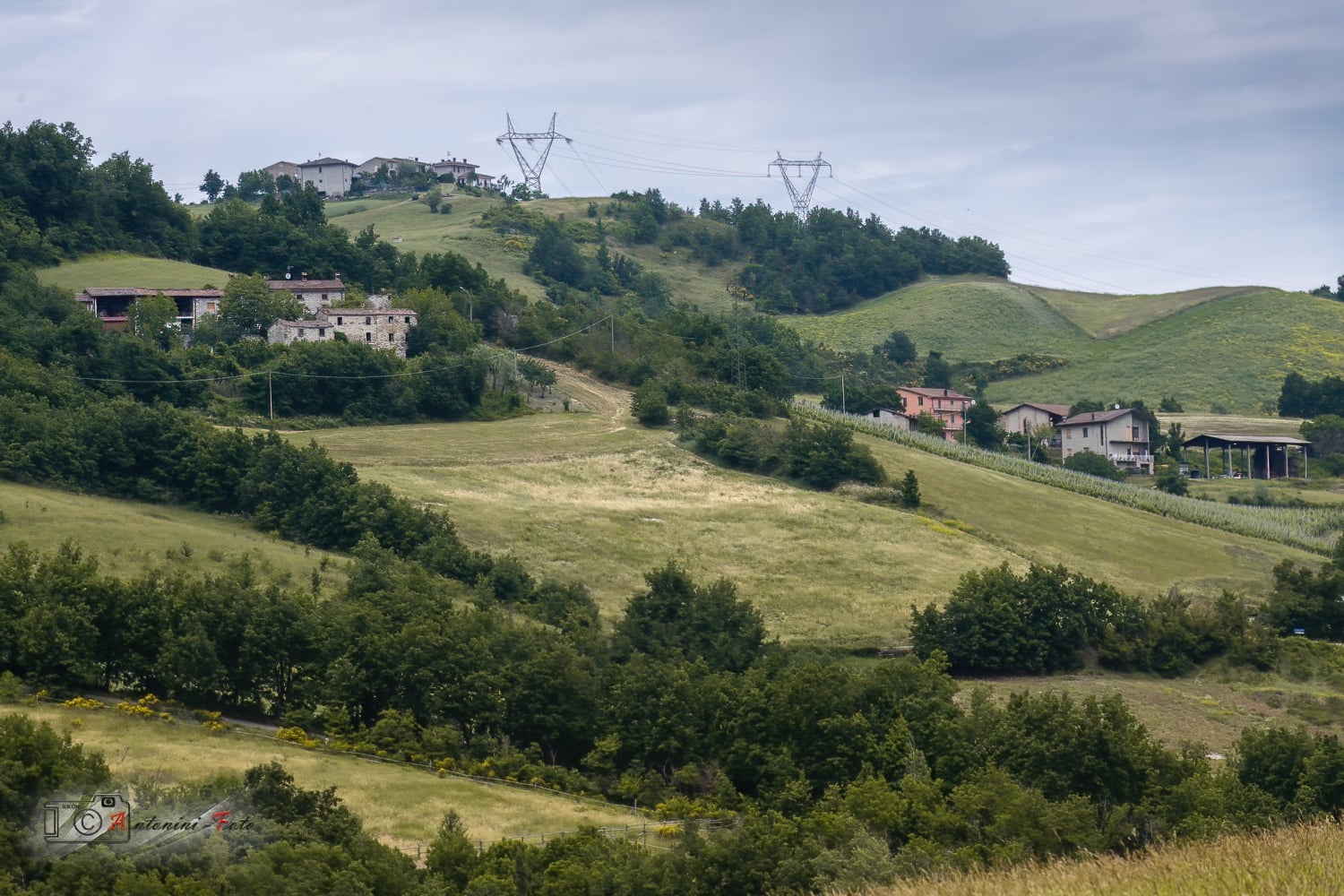 Foto 008 di 45