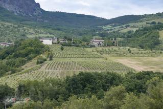 Foto 039 di 45