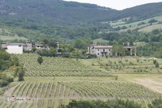 Foto 044 di 45