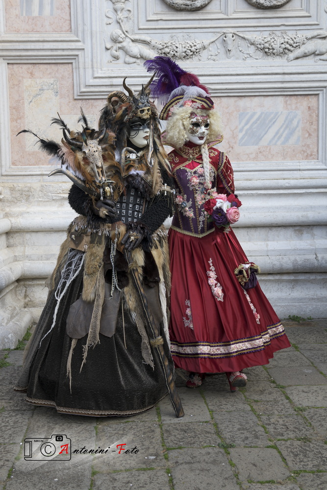 Foto 121 di 142