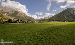 Foto 01 di 59