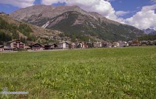 Foto 02 di 59