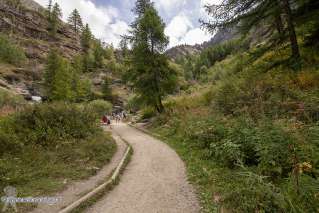 Foto 37 di 59