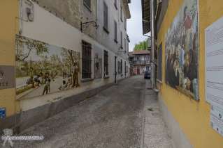 Foto 27 di 39