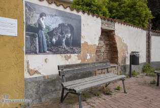 Foto 36 di 39