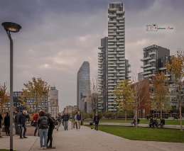 Foto 12 di 23