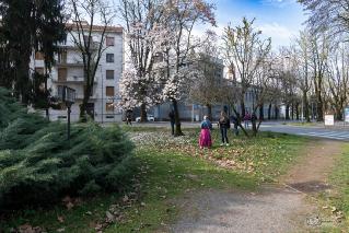 Foto 08 di 37