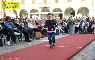 Foto 14 di 85