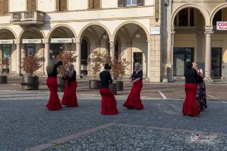Foto 061 di 149