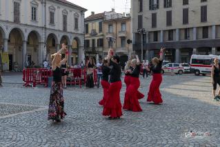 Foto 066 di 149