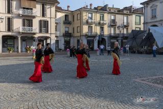 Foto 068 di 149