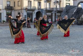 Foto 072 di 149