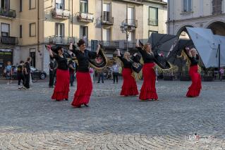 Foto 078 di 149