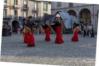 Foto 080 di 149