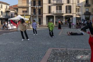 Foto 087 di 149