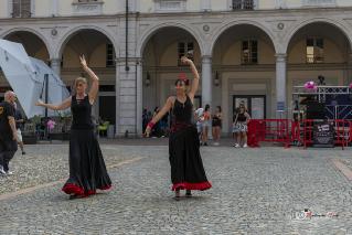 Foto 098 di 149