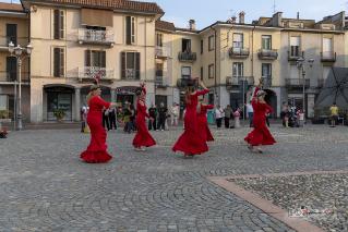 Foto 140 di 149