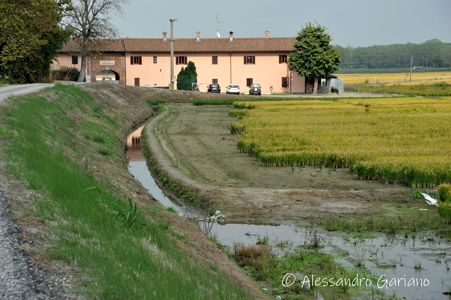 DSC_00060