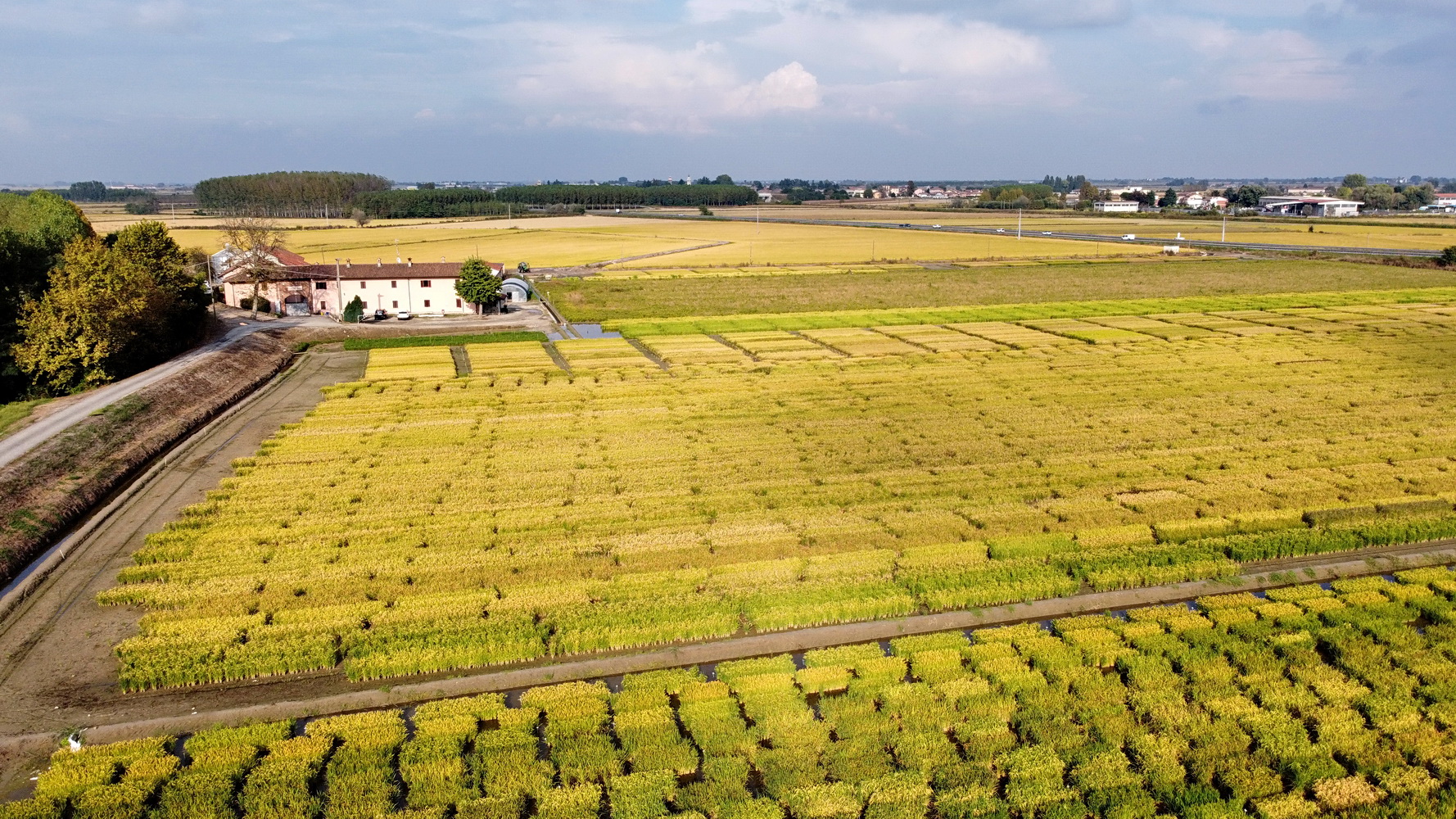 DJI_073