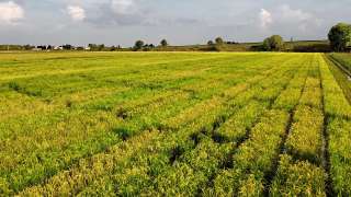 DJI_027
