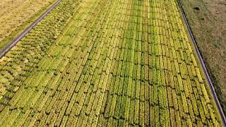 DJI_044