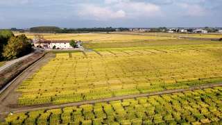 DJI_073