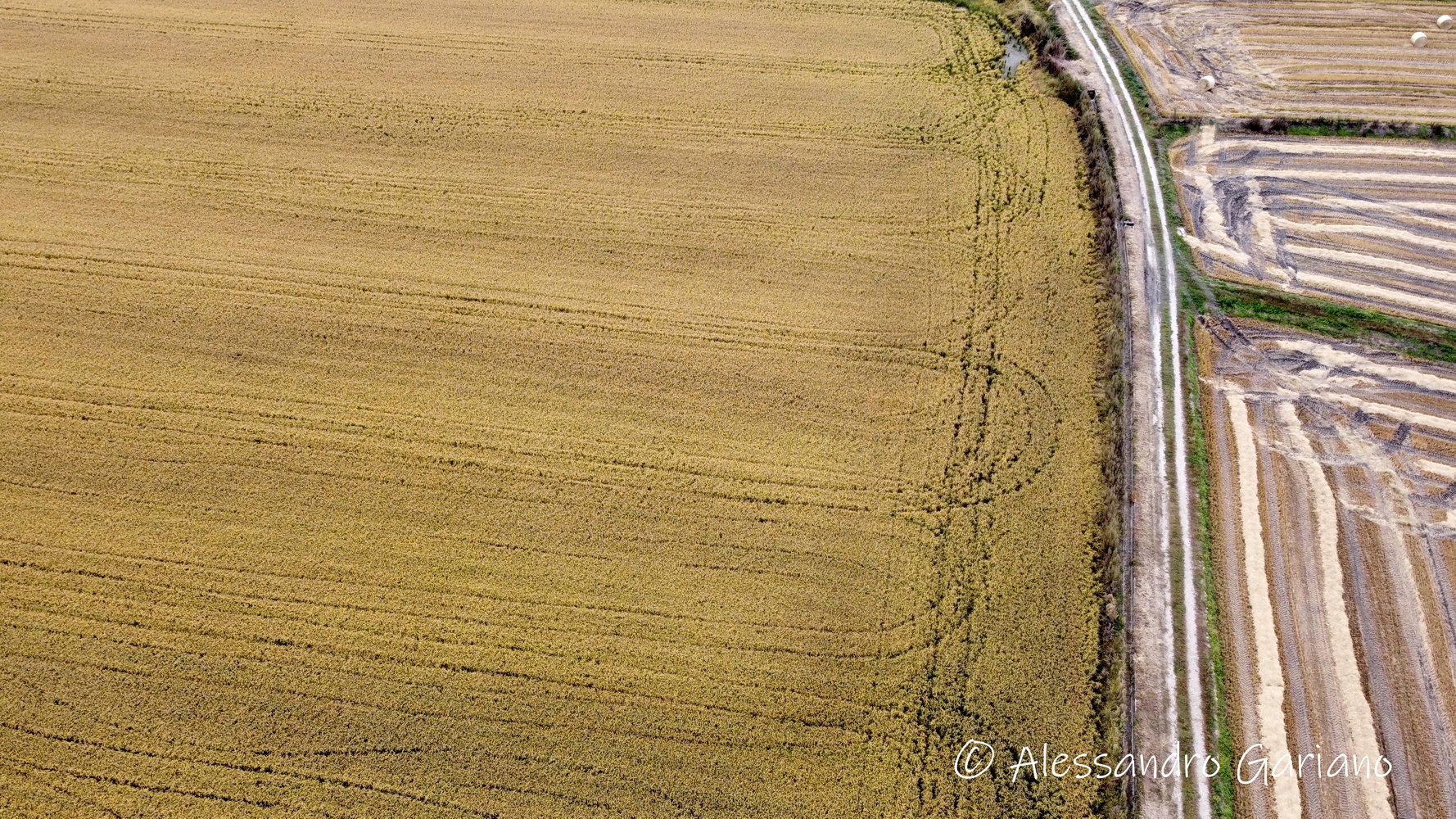 DJI_0072