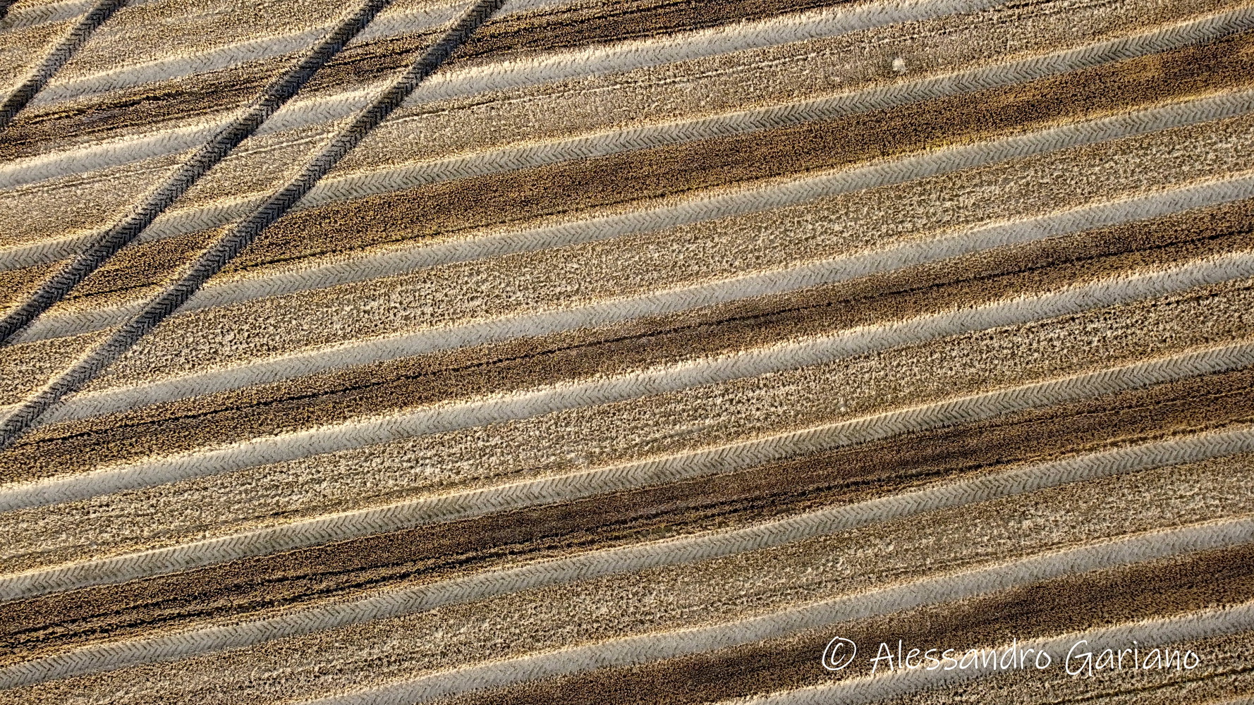 DJI_0033