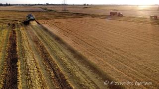 DJI_0020