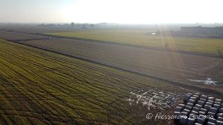 DJI_0056