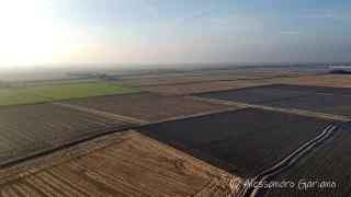 DJI_0116 1