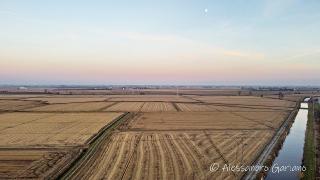 DJI_0016