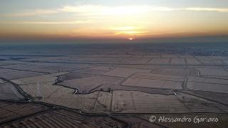DJI_0049