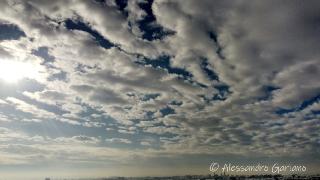 DJI_0060