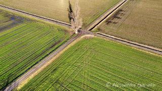 DJI_0034