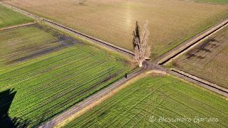 DJI_0037