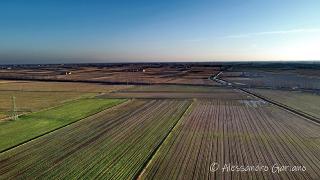 DJI_0148