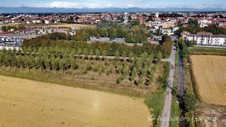 DJI_0020