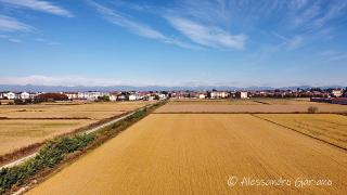 DJI_0035
