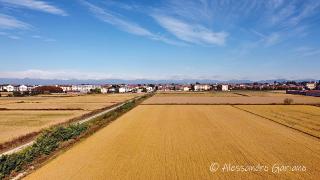 DJI_0035