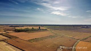 DJI_0044