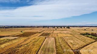 DJI_0048