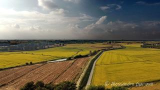 DJI_0074