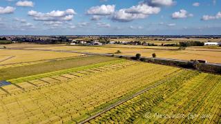 DJI_0074