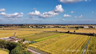 DJI_0082
