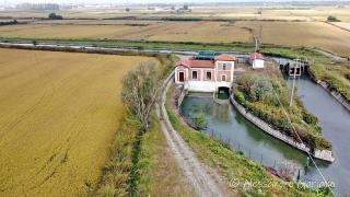 DJI_0023